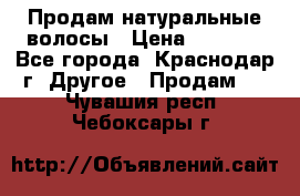 Продам натуральные волосы › Цена ­ 3 000 - Все города, Краснодар г. Другое » Продам   . Чувашия респ.,Чебоксары г.